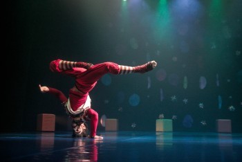 Dança de brinquedo